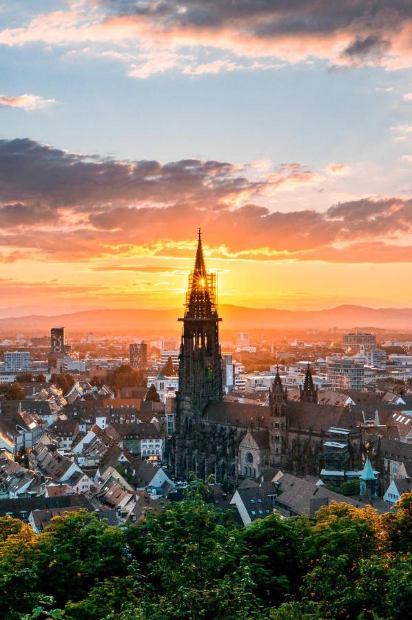 Deluxe Studio 9 in der Altstadt Appartement Freiburg im Breisgau Buitenkant foto